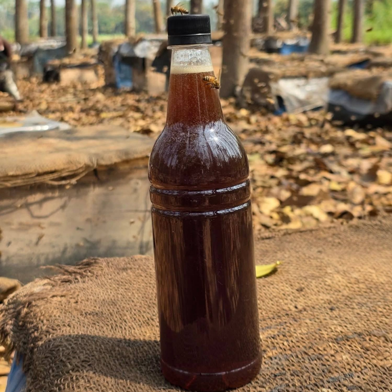 কালোজিরা ফুলের মধু ১ কেজি || Buy Now offer price